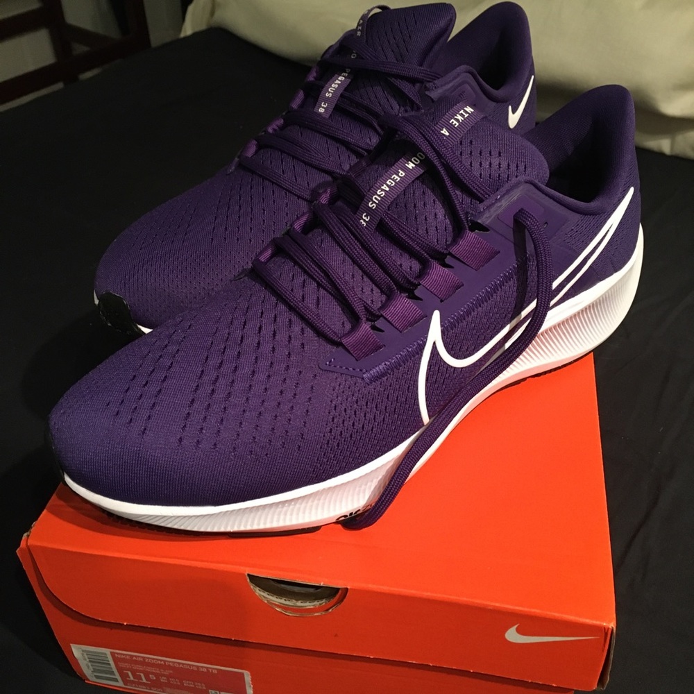 NWT Nike Air Zoom Pegasus 38